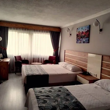 Hotel Anibal Gebze